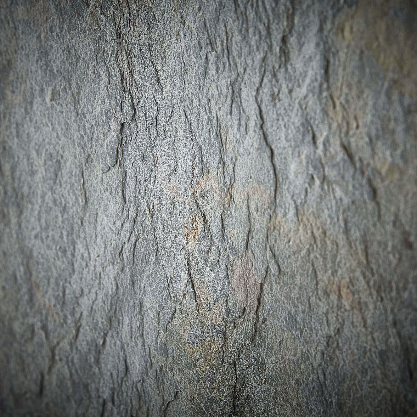 Wood Decor Jarrah Display Bookcase Furniture Store In Perth Australia